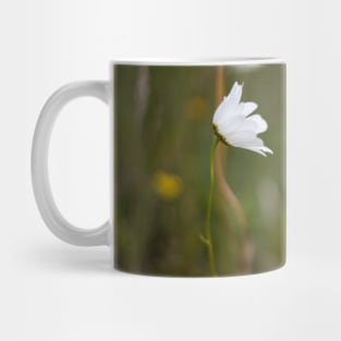 Dreamy daisies in a field Mug